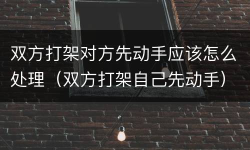 双方打架对方先动手应该怎么处理（双方打架自己先动手）