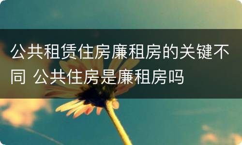 公共租赁住房廉租房的关键不同 公共住房是廉租房吗