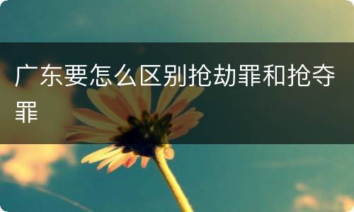 广东要怎么区别抢劫罪和抢夺罪