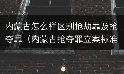 内蒙古怎么样区别抢劫罪及抢夺罪（内蒙古抢夺罪立案标准）