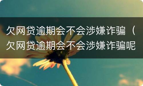 欠网贷逾期会不会涉嫌诈骗（欠网贷逾期会不会涉嫌诈骗呢）
