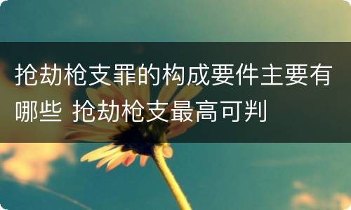 抢劫枪支罪的构成要件主要有哪些 抢劫枪支最高可判