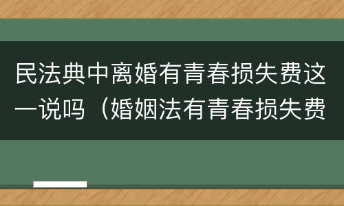 民法典中离婚有青春损失费这一说吗（婚姻法有青春损失费吗）