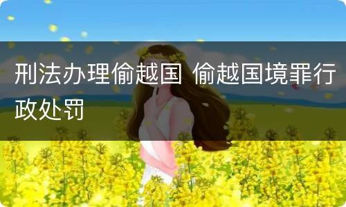 刑法办理偷越国 偷越国境罪行政处罚