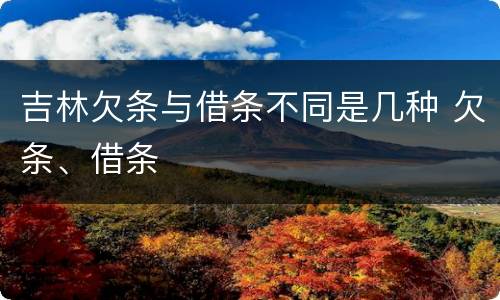 吉林欠条与借条不同是几种 欠条、借条