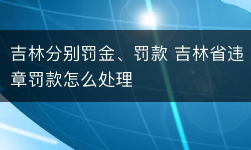 吉林分别罚金、罚款 吉林省违章罚款怎么处理