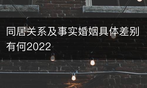 同居关系及事实婚姻具体差别有何2022