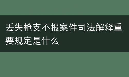 丢失枪支不报案件司法解释重要规定是什么
