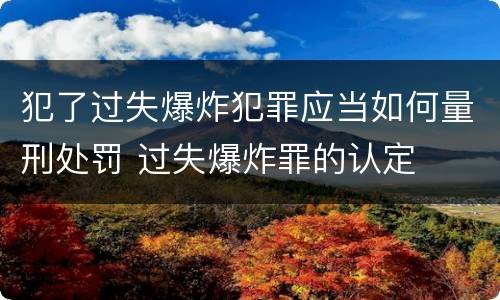 犯了过失爆炸犯罪应当如何量刑处罚 过失爆炸罪的认定