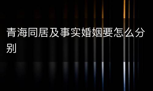 青海同居及事实婚姻要怎么分别