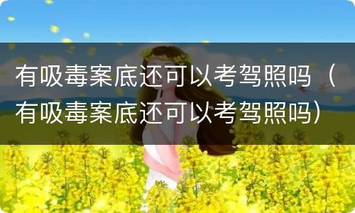有吸毒案底还可以考驾照吗（有吸毒案底还可以考驾照吗）