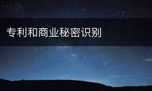 专利和商业秘密识别