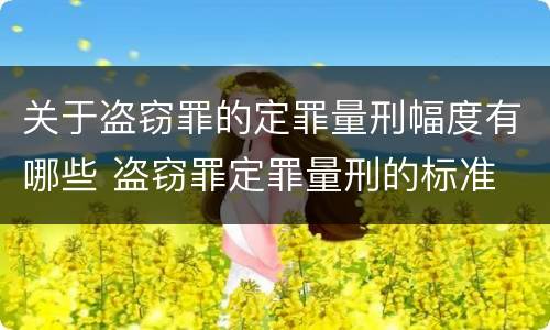 关于盗窃罪的定罪量刑幅度有哪些 盗窃罪定罪量刑的标准