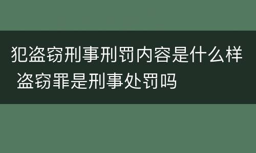 犯盗窃刑事刑罚内容是什么样 盗窃罪是刑事处罚吗