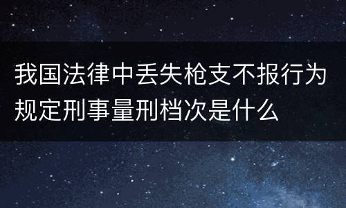 我国法律中丢失枪支不报行为规定刑事量刑档次是什么