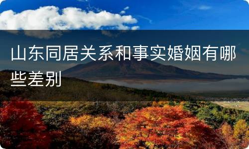山东同居关系和事实婚姻有哪些差别