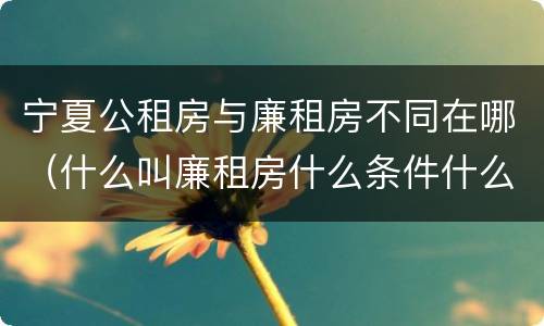 宁夏公租房与廉租房不同在哪（什么叫廉租房什么条件什么叫公租房）