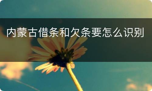 内蒙古借条和欠条要怎么识别