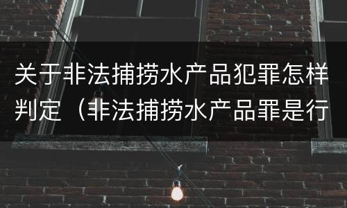 关于非法捕捞水产品犯罪怎样判定（非法捕捞水产品罪是行为犯吗）