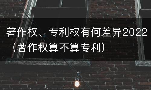 著作权、专利权有何差异2022（著作权算不算专利）
