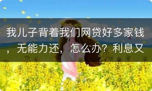 我儿子背着我们网贷好多家钱，无能力还，怎么办？利息又高