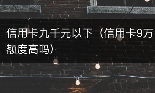 信用卡九千元以下（信用卡9万额度高吗）
