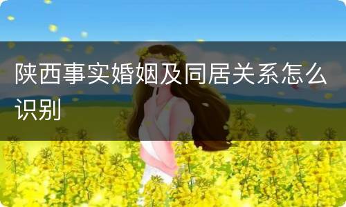 陕西事实婚姻及同居关系怎么识别