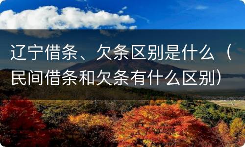 辽宁借条、欠条区别是什么（民间借条和欠条有什么区别）