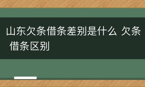 山东欠条借条差别是什么 欠条 借条区别