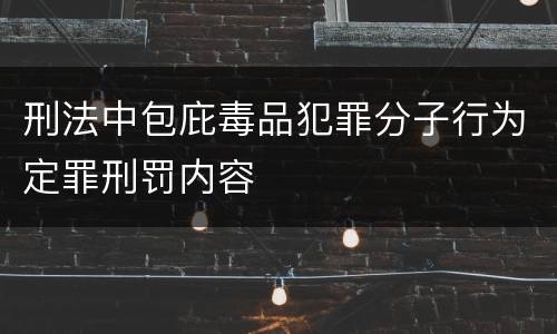 刑法中包庇毒品犯罪分子行为定罪刑罚内容