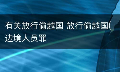 有关放行偷越国 放行偷越国(边境人员罪