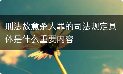 刑法故意杀人罪的司法规定具体是什么重要内容