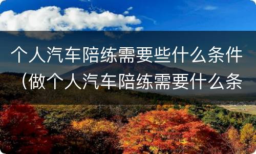 个人汽车陪练需要些什么条件（做个人汽车陪练需要什么条件）