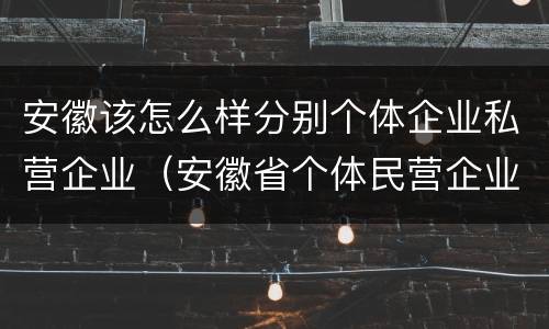 安徽该怎么样分别个体企业私营企业（安徽省个体民营企业协会官网）
