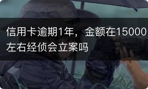 信用卡逾期1年，金额在15000左右经侦会立案吗