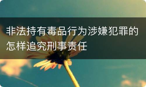 非法持有毒品行为涉嫌犯罪的怎样追究刑事责任