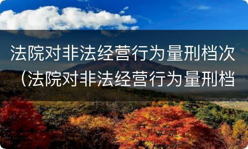 法院对非法经营行为量刑档次（法院对非法经营行为量刑档次要求）