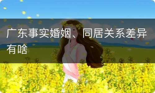广东事实婚姻、同居关系差异有啥