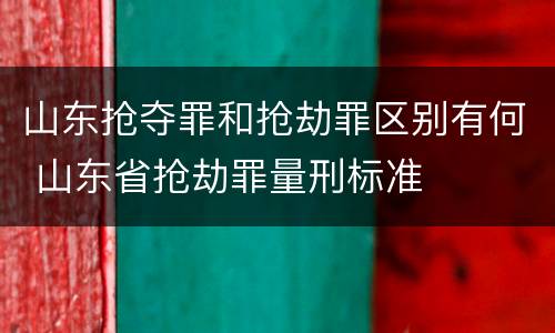 山东抢夺罪和抢劫罪区别有何 山东省抢劫罪量刑标准