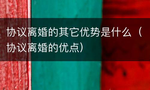 协议离婚的其它优势是什么（协议离婚的优点）