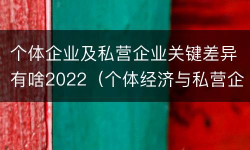 个体企业及私营企业关键差异有啥2022（个体经济与私营企业的区别）