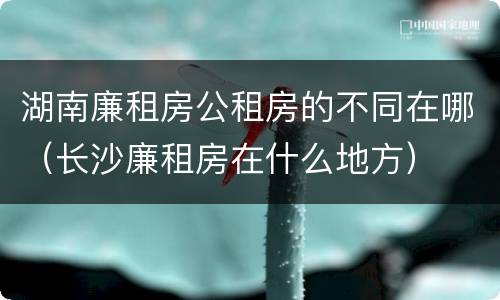 湖南廉租房公租房的不同在哪（长沙廉租房在什么地方）