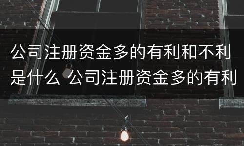 公司注册资金多的有利和不利是什么 公司注册资金多的有利和不利是什么意思
