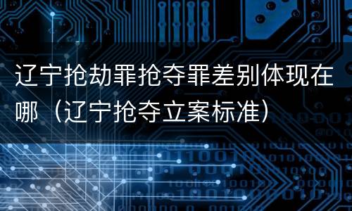 辽宁抢劫罪抢夺罪差别体现在哪（辽宁抢夺立案标准）