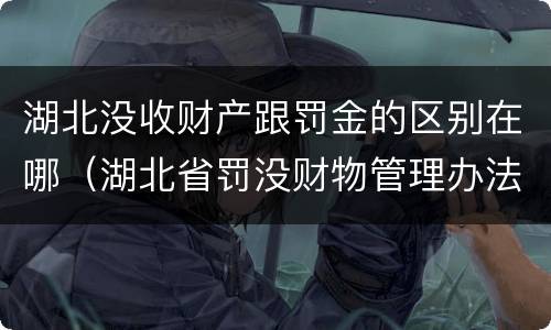 湖北没收财产跟罚金的区别在哪（湖北省罚没财物管理办法）