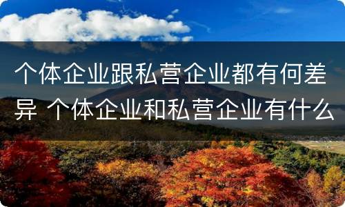个体企业跟私营企业都有何差异 个体企业和私营企业有什么联系?