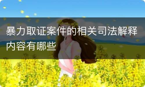 暴力取证案件的相关司法解释内容有哪些