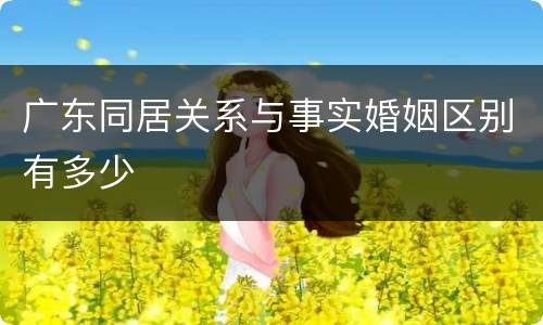 广东同居关系与事实婚姻区别有多少