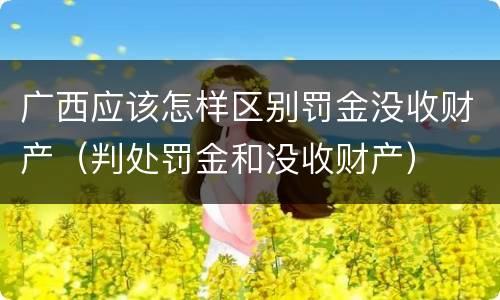 广西应该怎样区别罚金没收财产（判处罚金和没收财产）