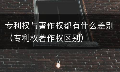 专利权与著作权都有什么差别（专利权著作权区别）